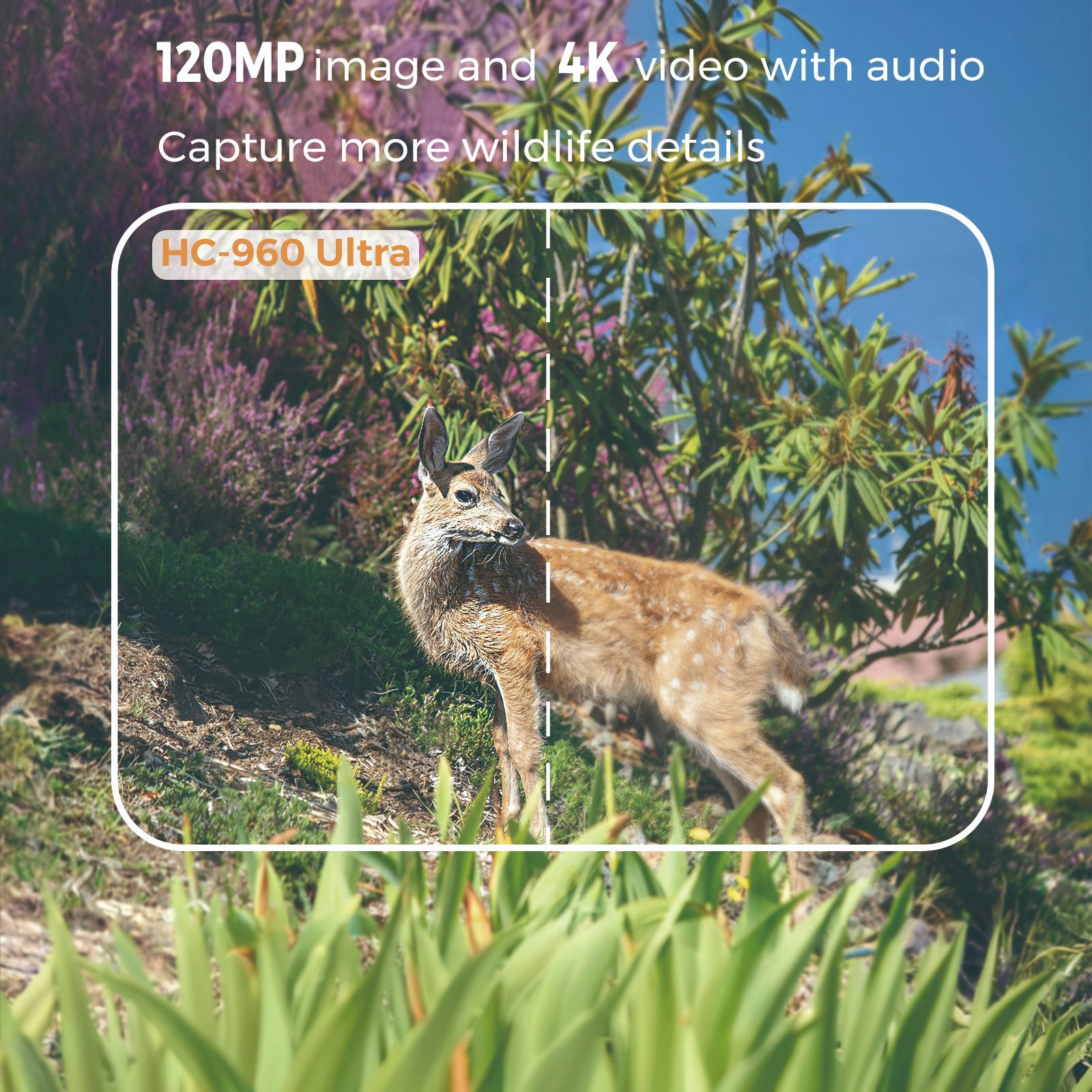 กล้องอินฟราเรดสำหรับสัตว์ป่า ค - Outdoor Hunting Videos บทวิจารณ์และราคา
