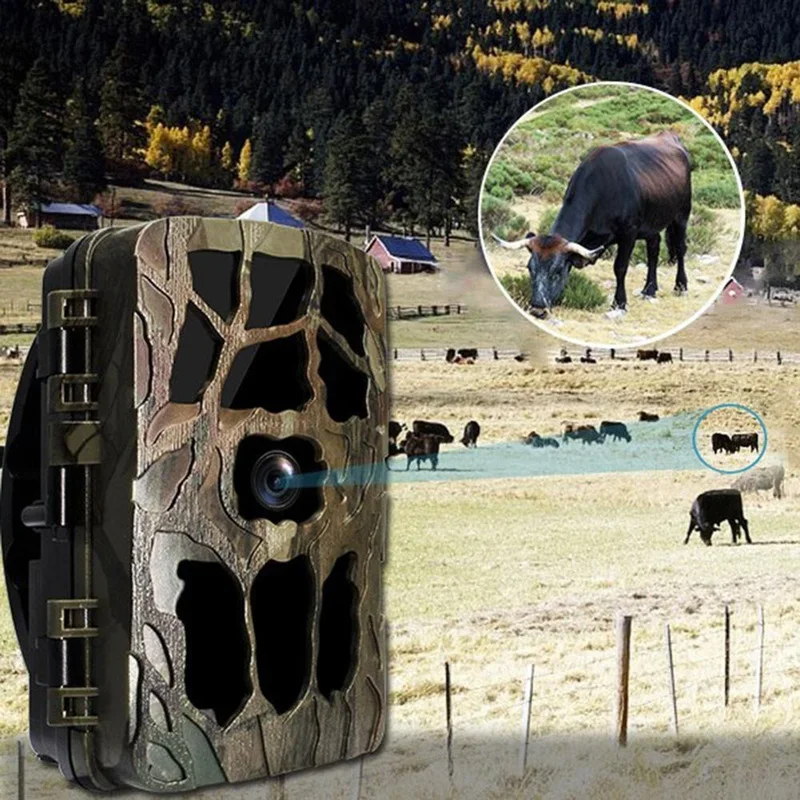 H982 IP66กันน้ำ4K กลางแจ้งอินฟ - Outdoor Hunting Videos บทวิจารณ์และราคา
